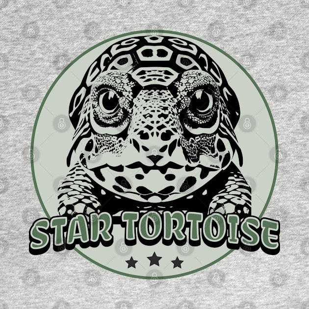 Star Tortoise Portrait by Alaigo